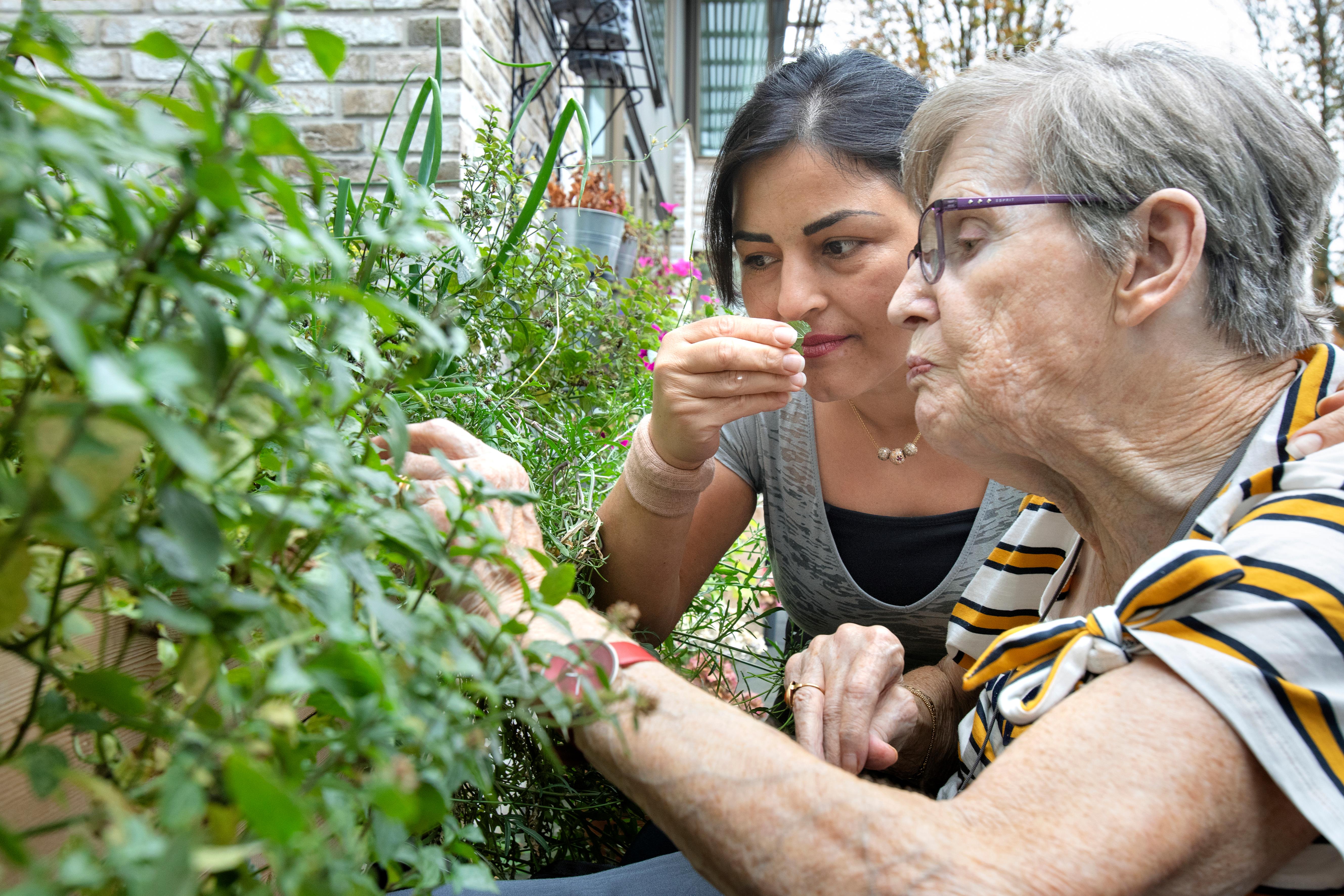 2Wollewei32 HOMEPAGE